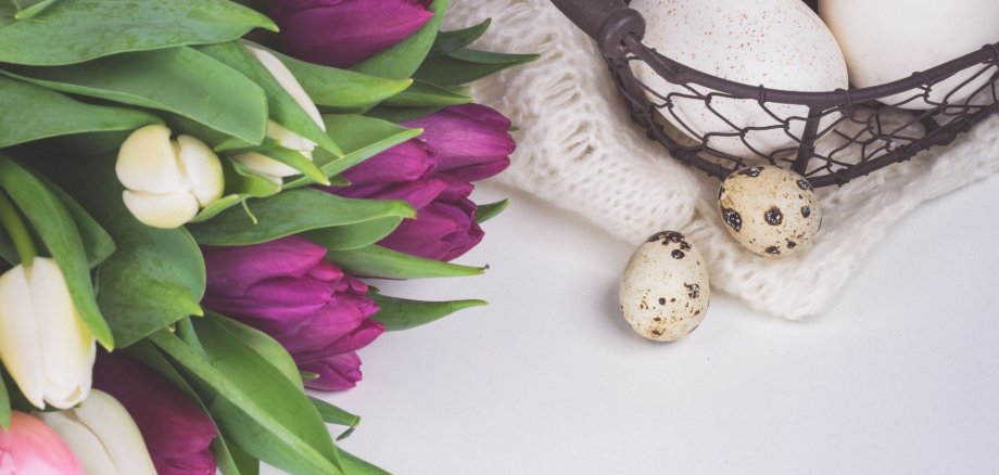 Kein Titel (2000 x 1200 px) - 1